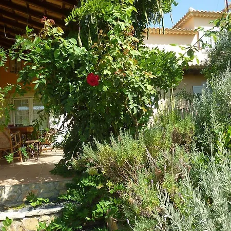Casa D'aldeia - Pope's Visit *